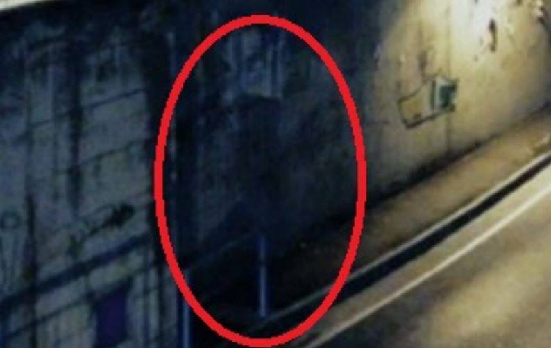 Un dettaglio del presunto fantasma che confermerebbe un caso di pareidolia, in attesa di ulteriori dettagli da parte dell'indagine di Hesperya