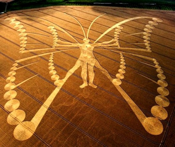 Uno spettacolare Crop Circle olandese!!!